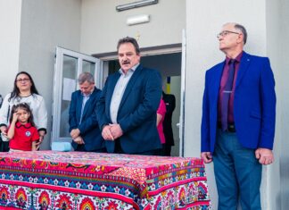 Caracatița PSD: primarii alimentează cu bani publici firma familiei unui coleg de partid. Contracte „sparte” pentru evitarea licitațiilor