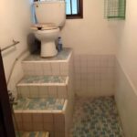 Odă tovarășului mareșal USRist Miruță