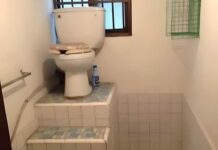 Odă tovarășului mareșal USRist Miruță