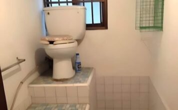 Odă tovarășului mareșal USRist Miruță