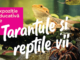 „Expoziția Educativă de Tarantule și Reptile Vii” revine la Palas cu exemplare spectaculoase