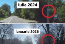 Noaptea minții: Poliția Rutieră a amendat primăria pentru stațiile ilegale de pe Bucium, iar Chirica a scos indicatoarele de pe stâlpi. Călătorii rămân expuși pericolelor