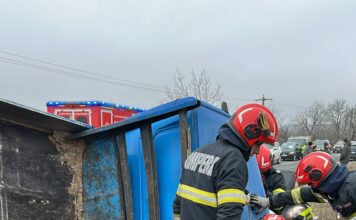 FOTO- VIDEO Accident rutier cu victime încarcerate în comuna Popricani. Impact între o autoutilitară încărcată cu lemne și două autoturisme