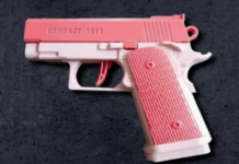 O femeie care a cumpărat un pistol cu apă de pe internet a fost amendată în Elveția și condamnată la 5 zile de închisoare