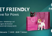 Palas și Palas Campus au devenit pet friendly. Un eveniment special, cu demonstrații canine și ateliere educative, în acest weekend