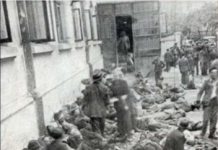Trei parlamentari de Iași susțin dezincriminarea negării Holocaustului. Peste 13.000 de evrei au fost victime ale Pogromului de la Iași