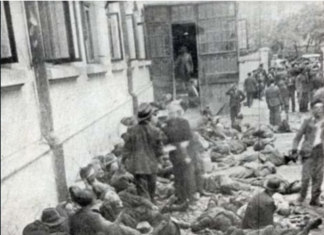 Trei parlamentari de Iași susțin dezincriminarea negării Holocaustului. Peste 13.000 de evrei au fost victime ale Pogromului de la Iași