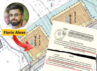 Alexe, aviz ilegal pentru turnul de 30 metri al fratelui. Apartamente și birouri în loc de pensiune pe un teren forestier