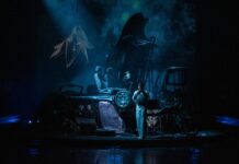 Fragmentarium cu giratoriu, ironie și crini mortuari