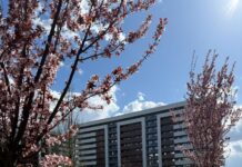 Un nou început în această primăvară – la Copou Garden Residence