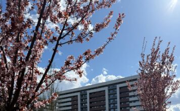 Un nou început în această primăvară – la Copou Garden Residence