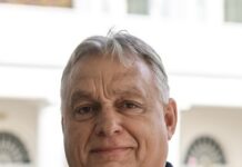 Ștefan cel Mare e ungur