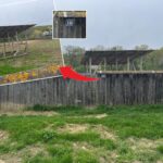 Contract de 600.000 de lei pentru o firmă cu punct de lucru într-o colibă. Noi dezvăluiri despre conflictul de interese de la vârful DSVSA