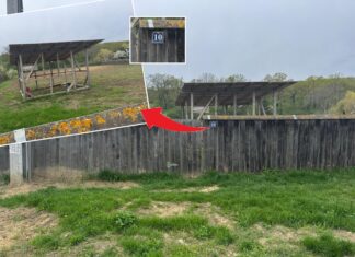 Contract de 600.000 de lei pentru o firmă cu punct de lucru într-o colibă. Noi dezvăluiri despre conflictul de interese de la vârful DSVSA