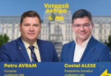 Fostul șef ABA, Petru Avram, condamnat după ce a pus Apele Române să muncească pe moșia lui Costel Alexe