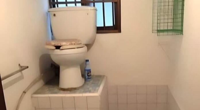 Drona cu rahat poreclită ,, stat ,, ( by Smîrcușor Van Dan, Felie Bolmojan & Co )