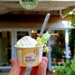 Gustul și mirosul de tei care cuceresc Iașul în fiecare an au ajuns și în gelato: COSI BUONO lansează „Gelato gust de Iași”, înghețata cu flori de tei care răcorește vara