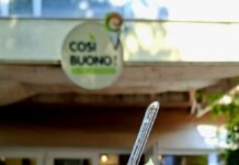 Gustul și mirosul de tei care cuceresc Iașul în fiecare an au ajuns și în gelato: COSI BUONO lansează „Gelato gust de Iași”, înghețata cu flori de tei care răcorește vara