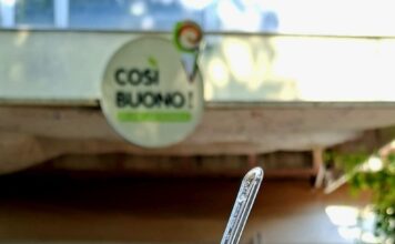 Gustul și mirosul de tei care cuceresc Iașul în fiecare an au ajuns și în gelato: COSI BUONO lansează „Gelato gust de Iași”, înghețata cu flori de tei care răcorește vara