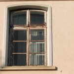 Pe șoseaua muștelor trec schelete de condor