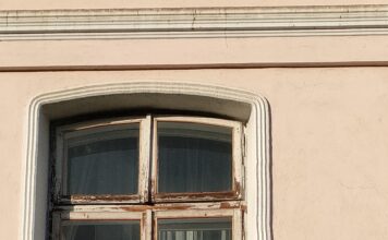Pe șoseaua muștelor trec schelete de condor