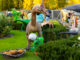 Dinozaurii ajung în Grădina Palas, într-o expoziție cu acces gratuit