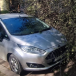 Mașină distrusă de un copac căzut în Copou. Primăria refuză să plătească despăgubirile