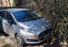 Mașină distrusă de un copac căzut în Copou. Primăria refuză să plătească despăgubirile
