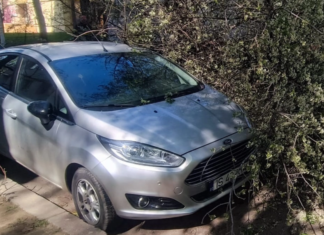 Mașină distrusă de un copac căzut în Copou. Primăria refuză să plătească despăgubirile