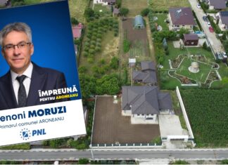 Domeniul primarului cu un Tico în declarația de avere: vilă de 400 metri pătrați, anexă cât o casă și terenuri pe numele soției