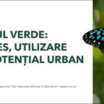 STUDIU- Iașul verde, prea departe de ieșeni: aproape 1 din 3 locuitori face peste 30 de minute până la cel mai apropiat spațiu verde