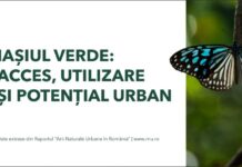 STUDIU- Iașul verde, prea departe de ieșeni: aproape 1 din 3 locuitori face peste 30 de minute până la cel mai apropiat spațiu verde