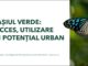 STUDIU- Iașul verde, prea departe de ieșeni: aproape 1 din 3 locuitori face peste 30 de minute până la cel mai apropiat spațiu verde