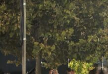 FOTO- Momentul ridicării din trafic a lui Călin Georgescu. Fostul candidat la alegerile prezidențiale mergea la înot