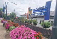 Comunicat de presă: ANUNȚ PREALABIL privind afișarea publică a documentelor tehnice ale cadastrului (P)