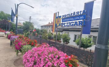 Comunicat de presă: ANUNȚ PREALABIL privind afișarea publică a documentelor tehnice ale cadastrului (P)