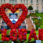 Grădina Palas, scena unui spectacol impresionant: peste 23 de instalații realizate din mii de flori naturale, Silent Disco și Serenada chitarelor, la Florall – Festivalul Artei Florale