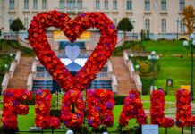 Grădina Palas, scena unui spectacol impresionant: peste 23 de instalații realizate din mii de flori naturale, Silent Disco și Serenada chitarelor, la Florall – Festivalul Artei Florale