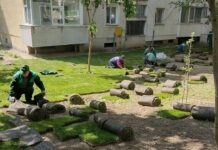 Cum se împart milioanele din Afacerea Gazonul: tatăl și fiul, „concurenți” la licitația Primăriei