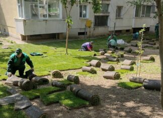 Cum se împart milioanele din Afacerea Gazonul: tatăl și fiul, „concurenți” la licitația Primăriei